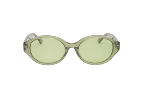 Stussy Penn Sunglasses Green (SS23)
