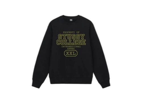Stussy Property Of Crew Black (FW22)
