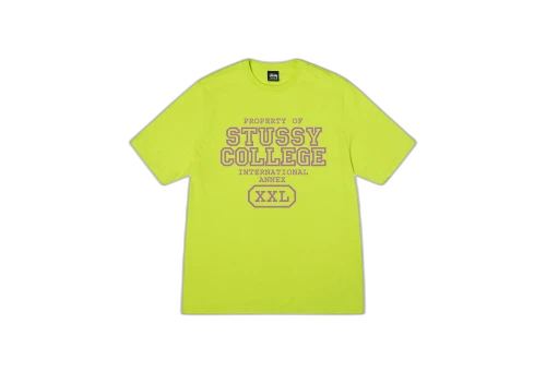 Stussy Property Of Tee Keylime (SS23)