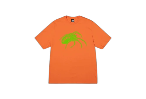 Stussy Widow Tee Coral (FW22)