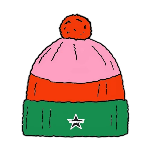 Supreme Alpine Beanie Orange