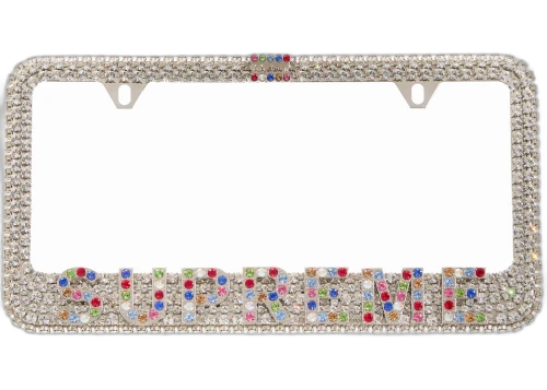 Supreme b.b. Simon License Plate Frame Silver