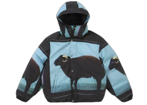 Supreme Damien Hirst Down Puffer Jacket Black