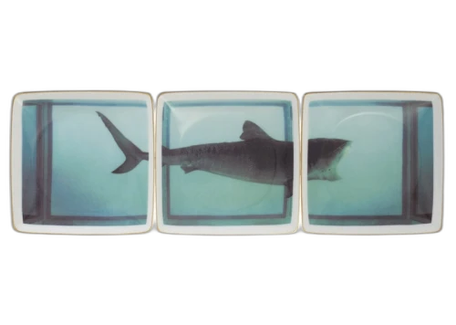 Supreme Damien Hirst Rosenthal Tray (Set of 3) Multicolor