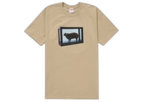 Supreme Damien Hirst Tee Khaki