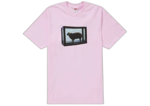 Supreme Damien Hirst Tee Light Pink