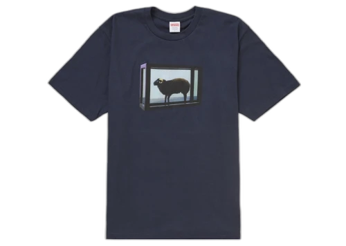 Supreme Damien Hirst Tee Navy