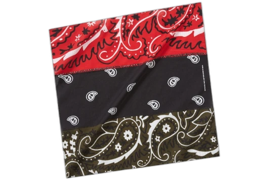 Supreme dead prez RBG Bandana Multicolor