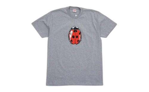 Supreme Ladybug Tee Heather Grey