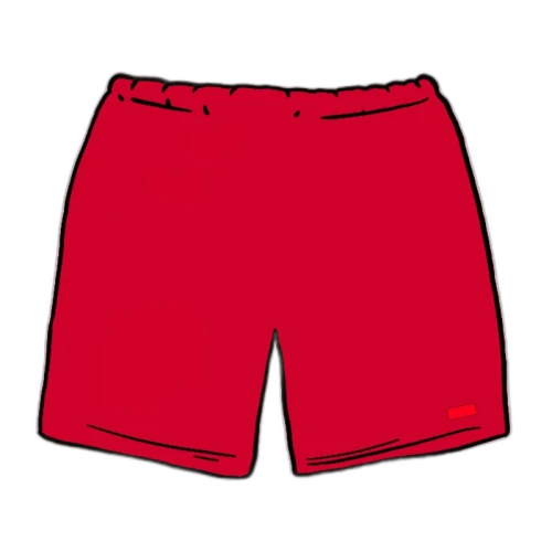 Supreme Nylon Water Short (SS20) Red