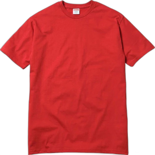 Supreme Planes Tee Red