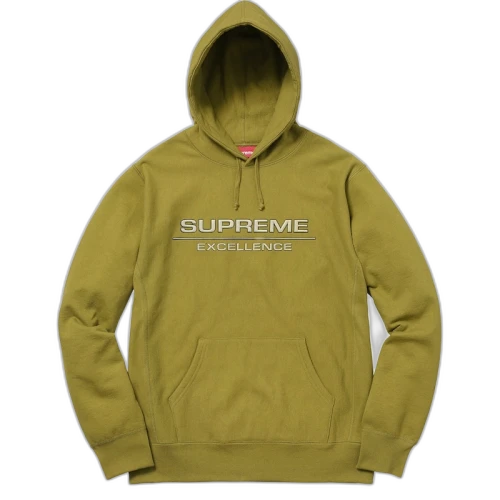 Supreme Reflective Excellence Hooded Sweatshirt Moss Green