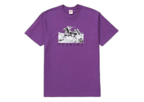 Supreme Riders Tee Purple