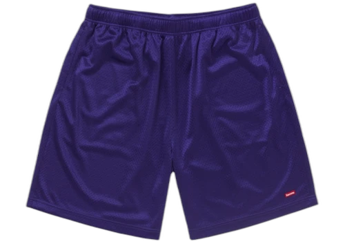 Supreme Small Box Baggy Mesh Short (SS25) Purple
