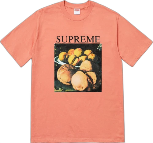 Supreme Still Life Tee Terra Cotta
