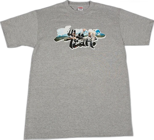 Supreme Team Tee Grey