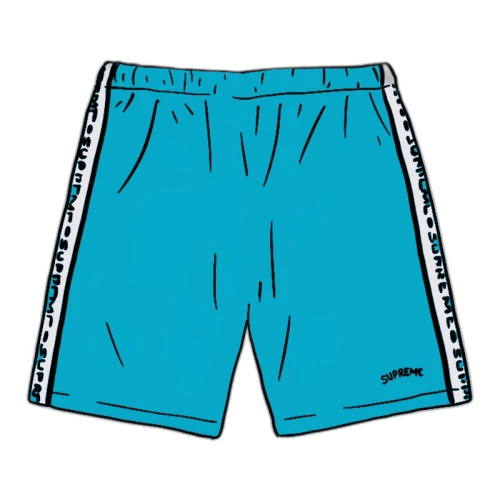 Supreme Terry Short Cyan