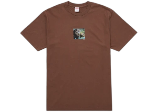 Supreme The Exorcist Puke Tee Brown