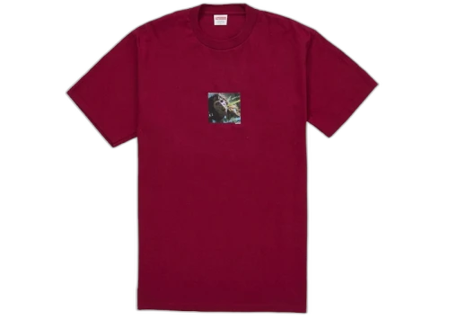 Supreme The Exorcist Puke Tee Cardinal