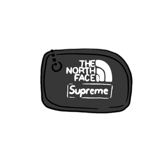 Supreme The North Face Floating Key Chain Black