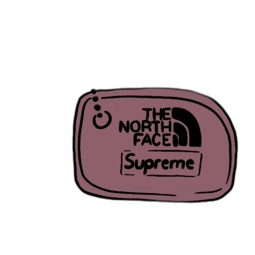 Supreme The North Face Floating Key Chain Multicolor