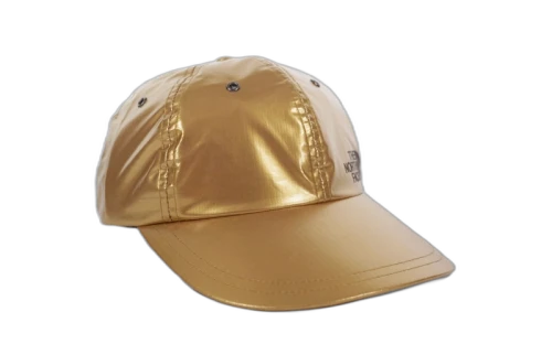 Supreme The North Face Metallic 6-Panel Gold