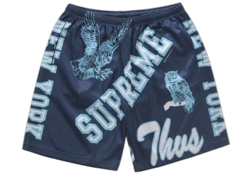 Supreme Varsity Mesh Short Navy