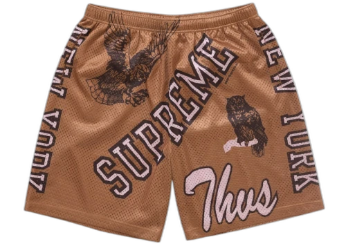 Supreme Varsity Mesh Short Orange