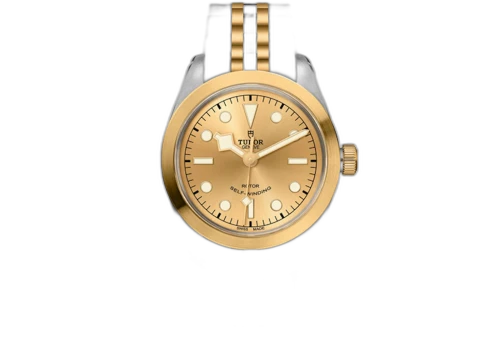 Tudor Black Bay 36 S&G M79503-0002