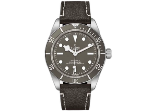 Tudor Black Bay Fifty-Eight 925 M79010SG-0001