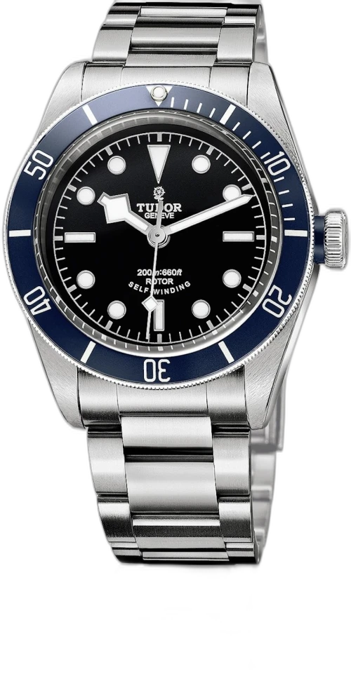 Tudor Black Bay M79220B