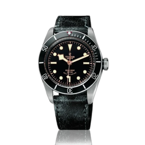 Tudor Black Bay M79220N