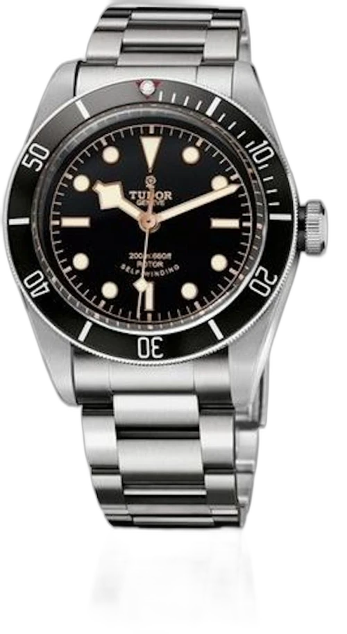 Tudor Black Bay M79220N