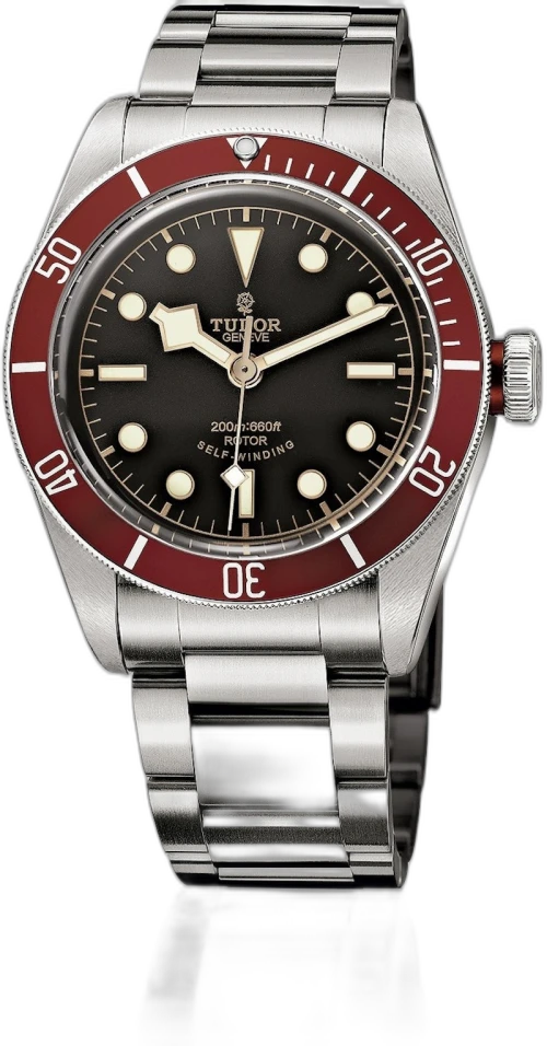 Tudor Black Bay M79220R