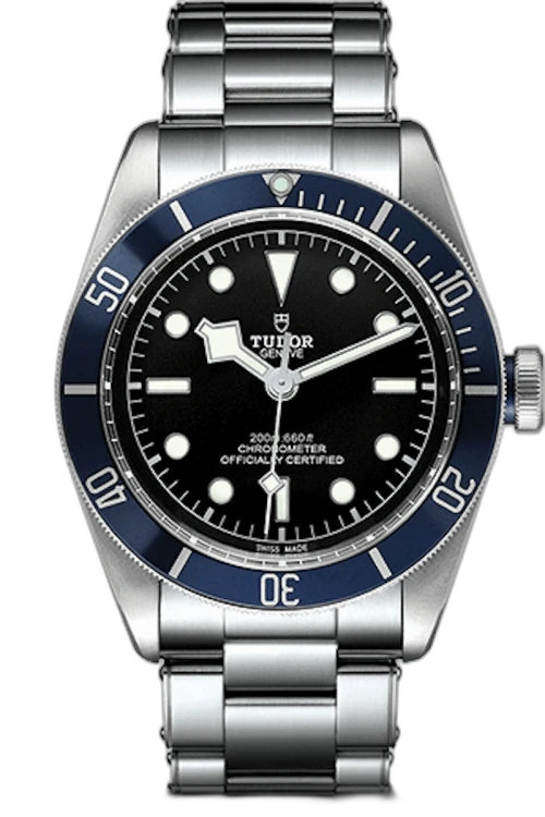 Tudor Black Bay M79230B