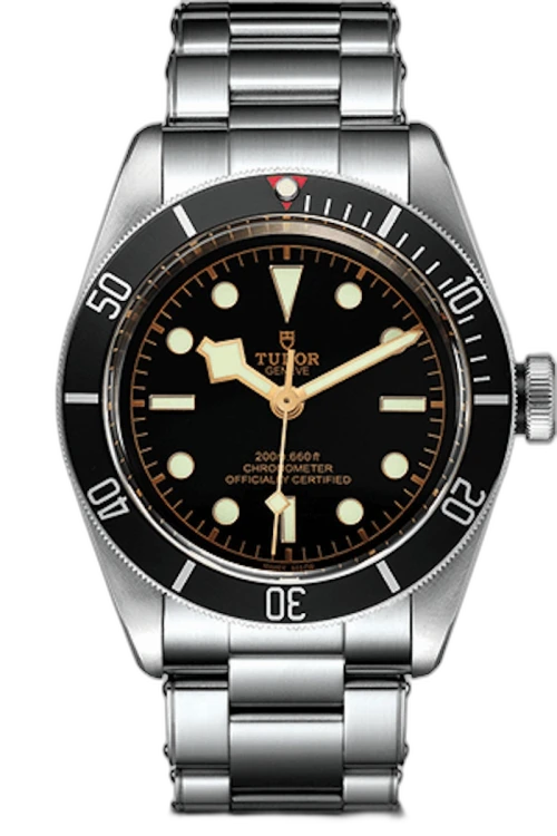 Tudor Black Bay M79230N