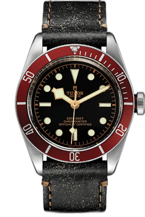 Tudor Black Bay M79230R