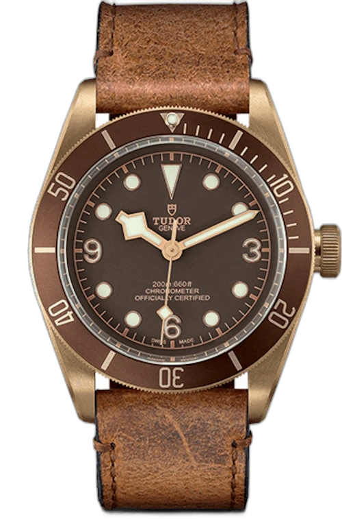 Tudor Black Bay M79250BM