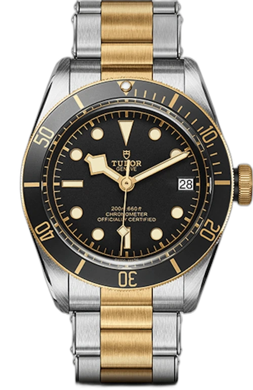 Tudor Black Bay M79733N