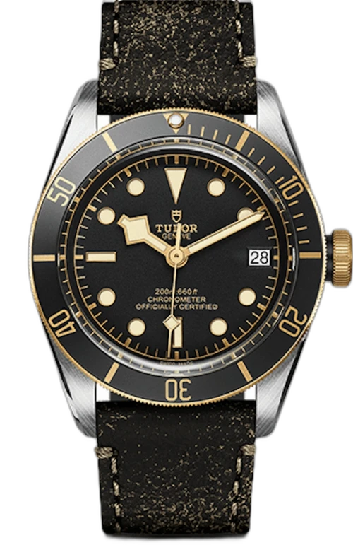 Tudor Black Bay M79733N