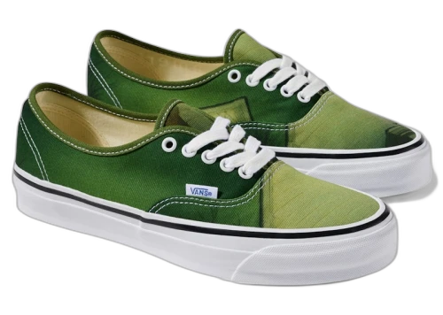 Vans OTW Authentic 44 American Football House