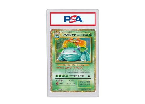 Venusaur 2023 Pokémon Holo Japanese #3 (PSA or BGS Graded)
