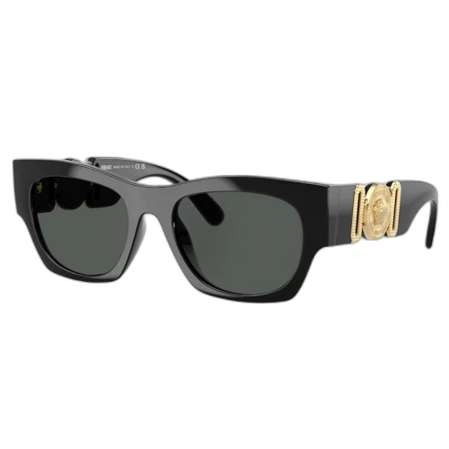 Versace Men's Luxury Sunglasses Black (VE_4479U_GB1/87)