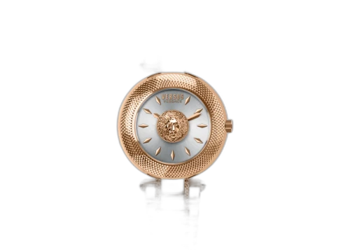 Versus Versace Brick Lane VSP645921