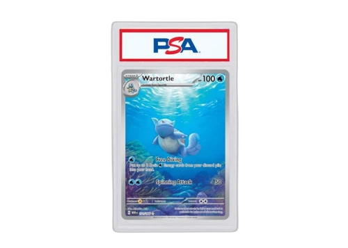 Wartortle 2023 Pokémon Scarlet & Violet 151 Special Illustration Rare 151/171 (PSA or BGS Graded)